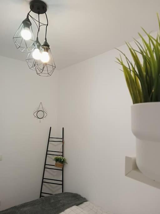 לוס ריאלחוס Precioso Apartamento Con Terraza En Piso Superior מראה חיצוני תמונה